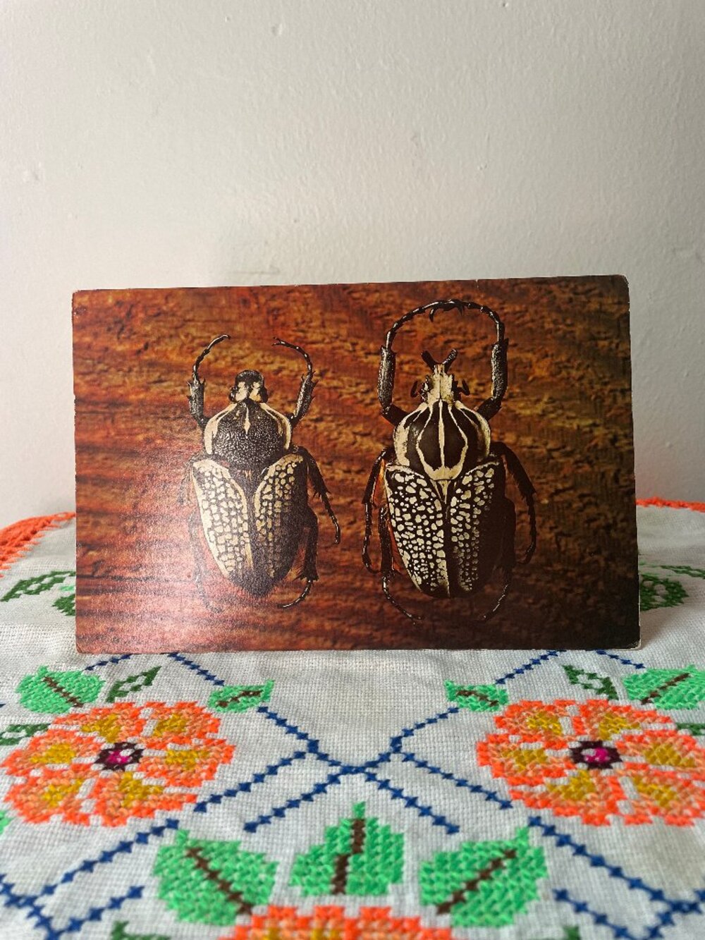 Vintage Beetles Blank Card
